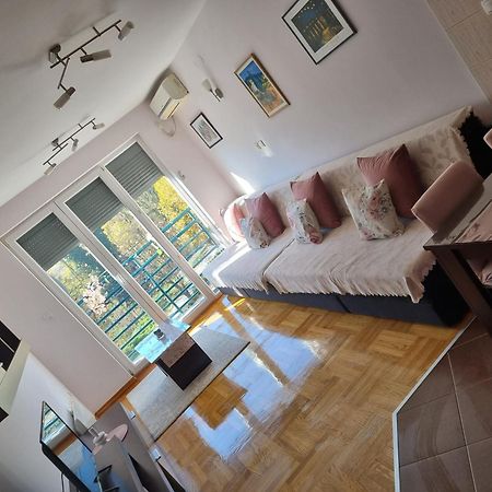 Studio Apartman Zvezdana Noc Vrnjacka Banja Exterior photo